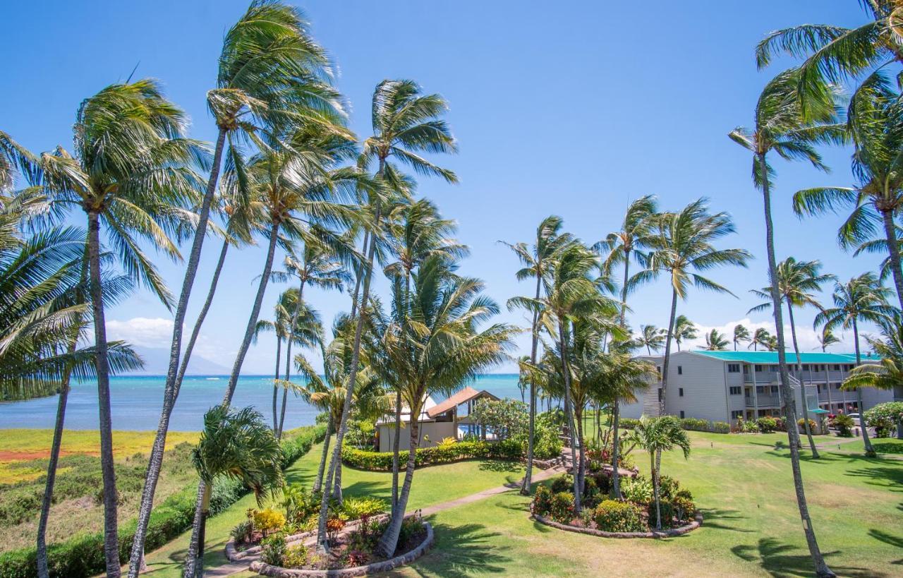Apartmán Molokai Island Retreat With Beautiful Ocean Views And Pool - Newly Remodeled! Ualapue Exteriér fotografie